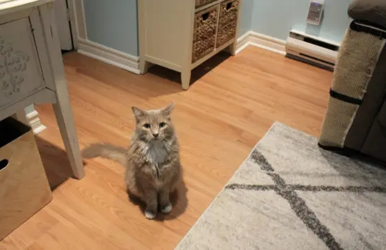 78429 209877 Bj8GicMmZs7cDJGVI 2lXaY RpFmbJoSMAQeHpLp6Oc 65a3f452eab03.jpg