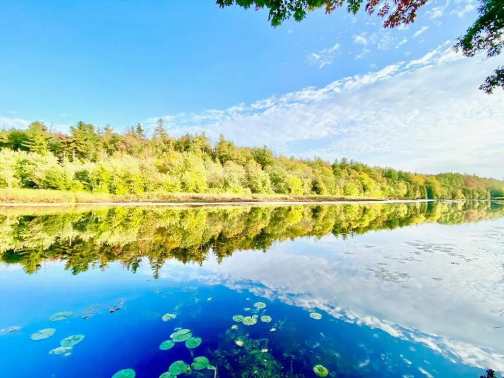 78429 209878 P19lON91t6eYbkahMoxGK BX7lZB7W RJLLPe LCL c 65a2957b085a3.jpg