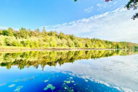 78429 209878 P19lON91t6eYbkahMoxGK BX7lZB7W RJLLPe LCL c 65a2957b085a3.jpg