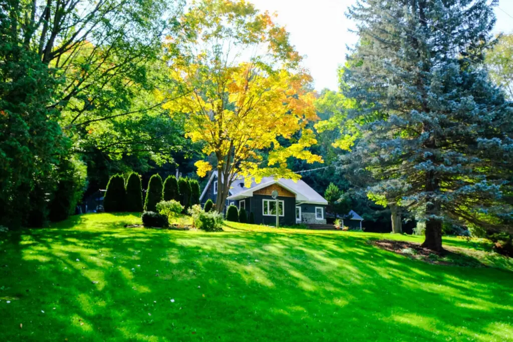 78429 272011 sA kSw9HWyLVb14ajmPLg BCOI5rGXcriRBbaqQ A34 66440988339fe.jpg