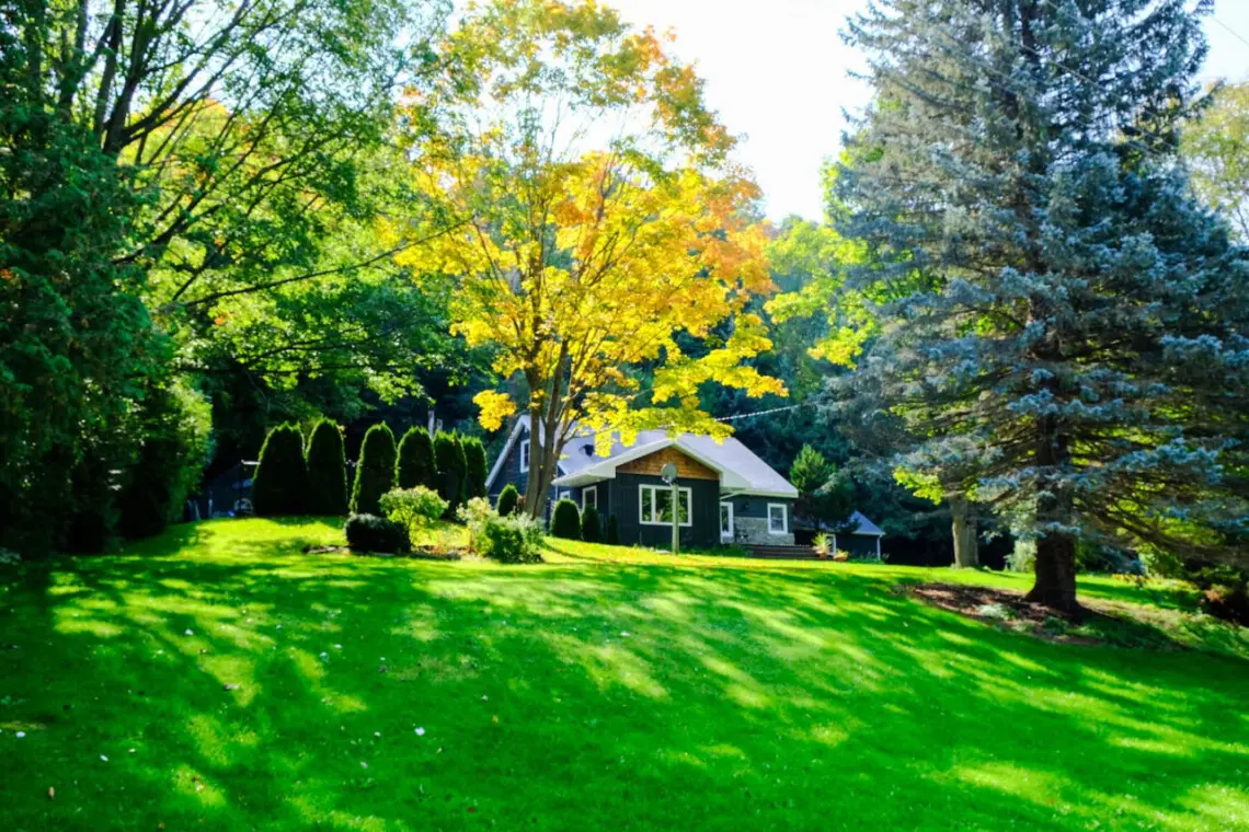 78429 272011 sA kSw9HWyLVb14ajmPLg BCOI5rGXcriRBbaqQ A34 66440988339fe.jpg