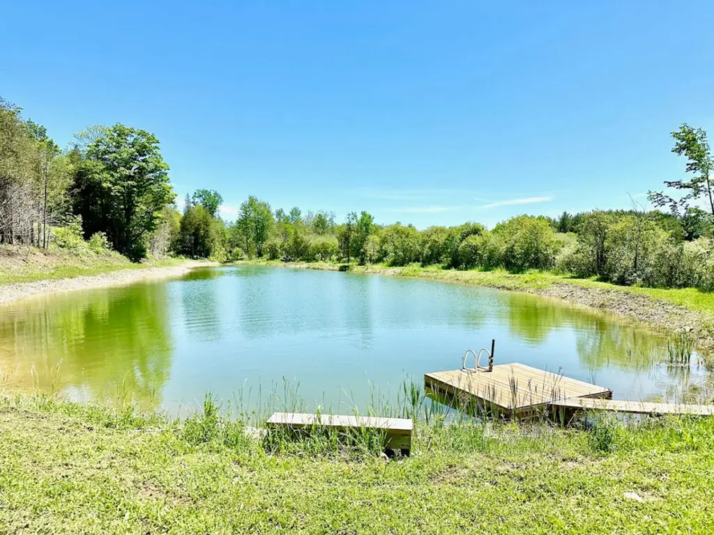 78429 277154 1JZv fnx J5ecQARPkh89APk6eNtRrgU5oVH1tIY5Y4 66592f8d4a6cc.jpg