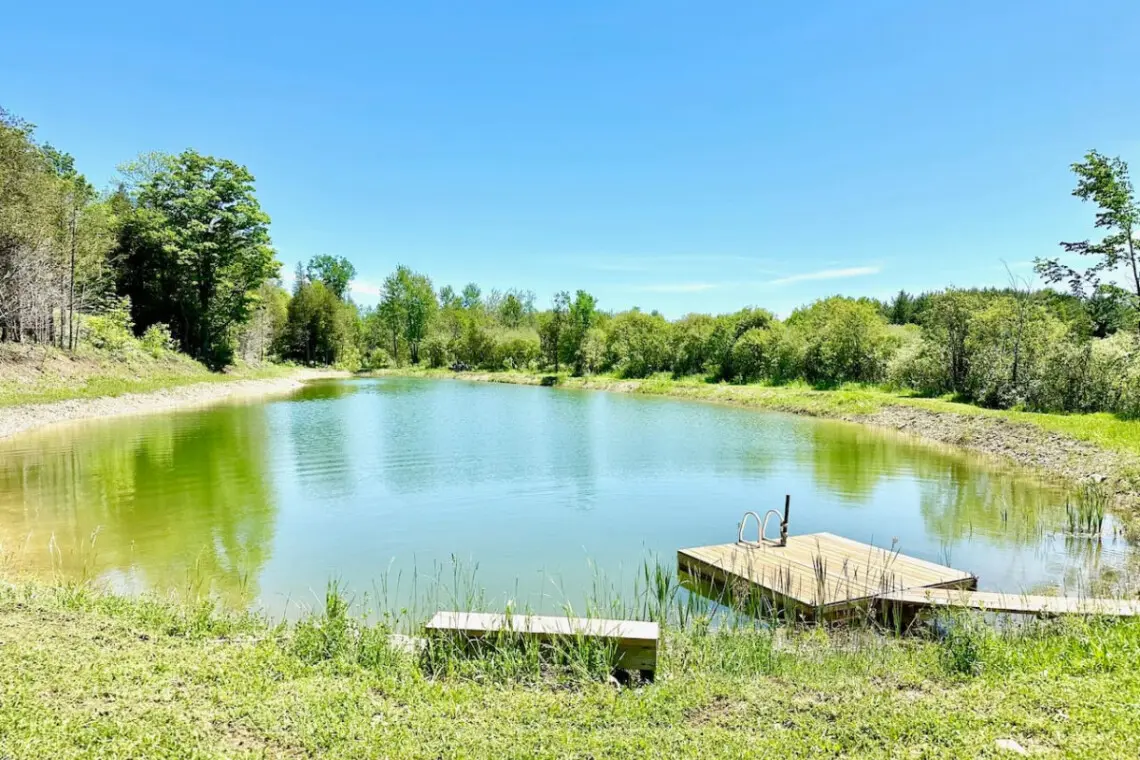 78429 277154 1JZv fnx J5ecQARPkh89APk6eNtRrgU5oVH1tIY5Y4 66592f8d4a6cc.jpg