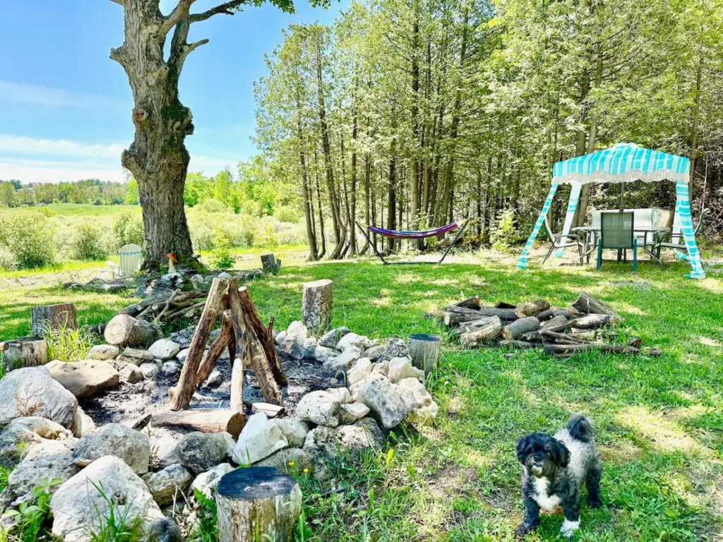 78429 277154 5 sRWc9hH6m4pPg7IRmpz2dNgN 07oLj 8jbMqPSX8Q 66592f865baa9.jpg