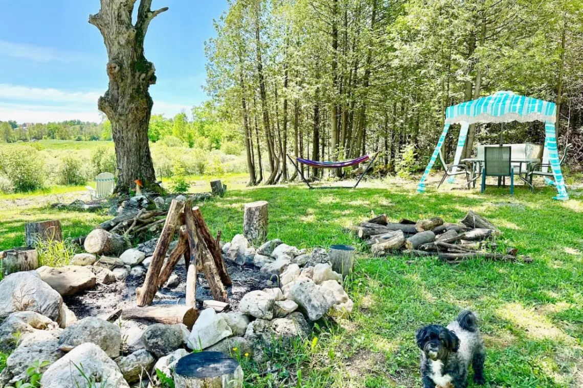 78429 277154 5 sRWc9hH6m4pPg7IRmpz2dNgN 07oLj 8jbMqPSX8Q 66592f865baa9.jpg