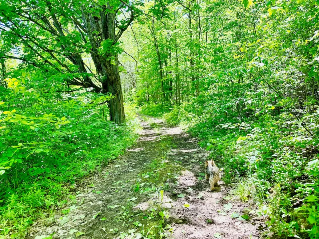 78429 277154 L3coH6gH3r2g cqgQjWVaGoei64Ur Pz5jyJB18I5nk 66592f930173f.jpg