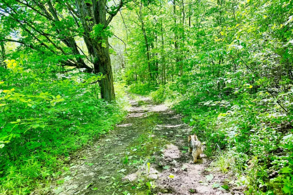 78429 277154 L3coH6gH3r2g cqgQjWVaGoei64Ur Pz5jyJB18I5nk 66592f930173f.jpg