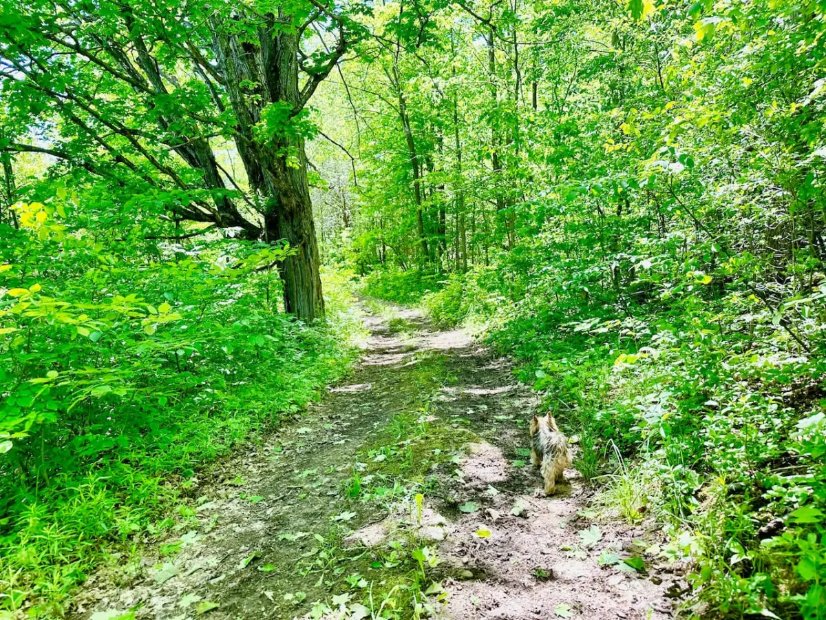 78429 277154 L3coH6gH3r2g cqgQjWVaGoei64Ur Pz5jyJB18I5nk 66592f930173f.jpg