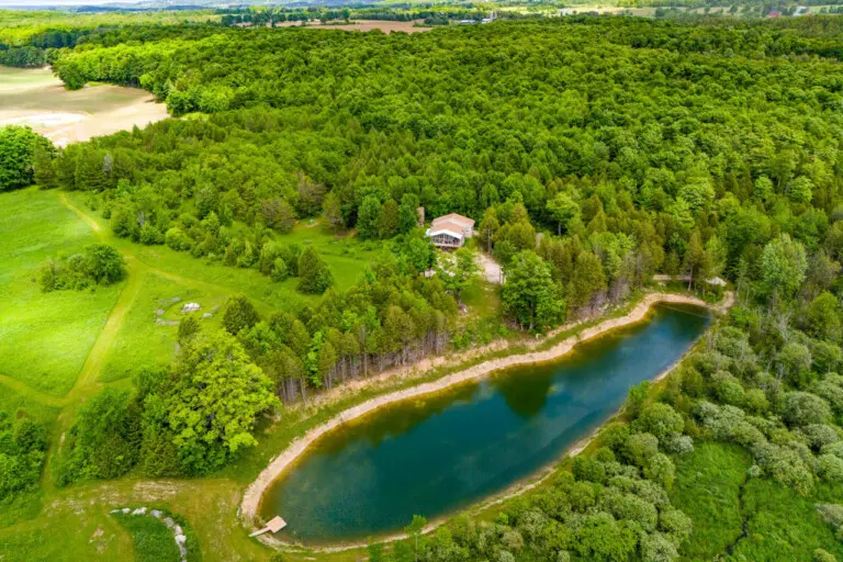 78429 277154 OdzWKMMOb l 8CYQj7b2CldogigdY8vz6lbasiFD XM 6668c2e09b34c.jpg