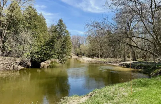 78429 358892 WrYFcdZ55m05 GIe92pFfg8bI2EK4QtggGecabcpoDo 681df4d8219b9.jpg