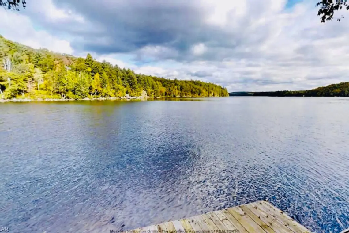 78429 412983 3uHw2OAPj24eNO2c1TwJ55okCDegvyXeSZcpPyvXWD0 6875d17110c65.jpg