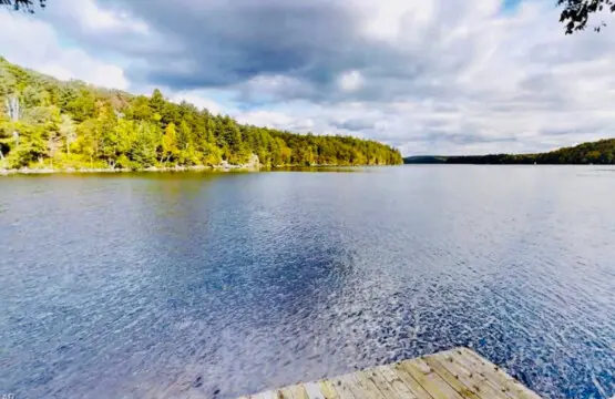 78429 412983 3uHw2OAPj24eNO2c1TwJ55okCDegvyXeSZcpPyvXWD0 6875d17110c65.jpg