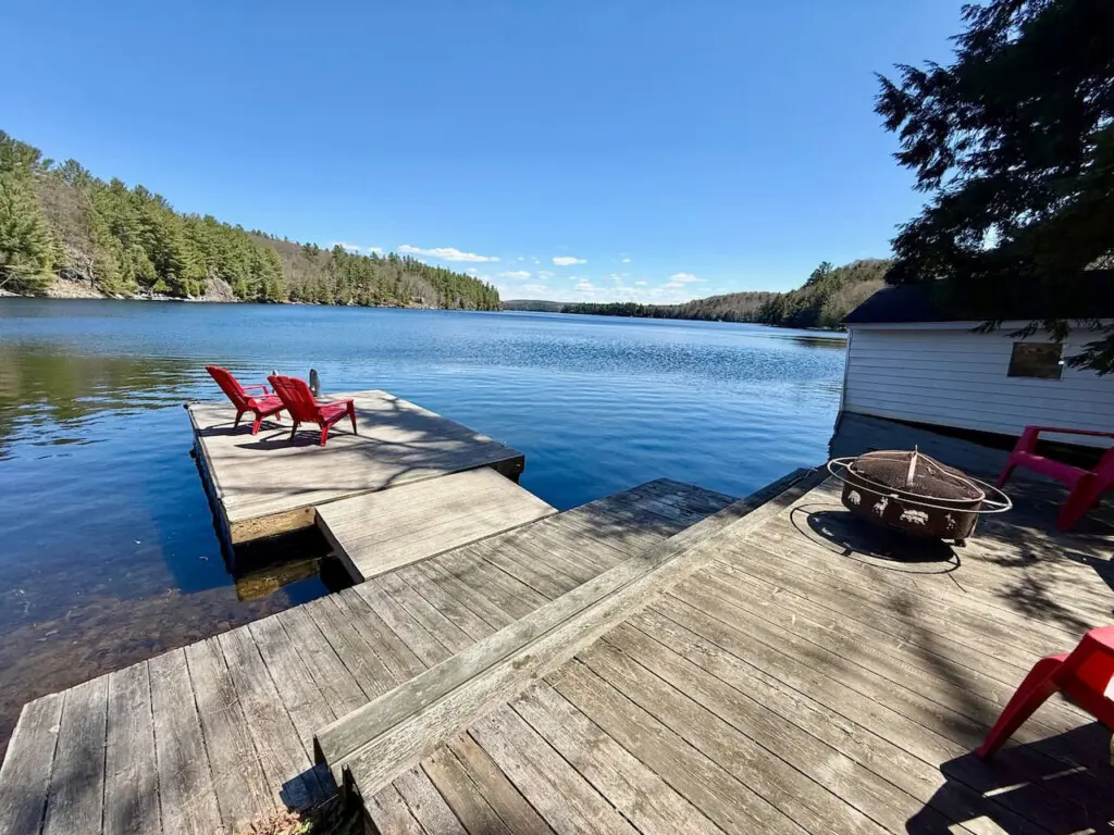 78429 412983 ZASt0wuxdbM7UXsYf5RUgkXn8H0w1mVQBmL2JvkUVnY 6875d167e0df1.jpg