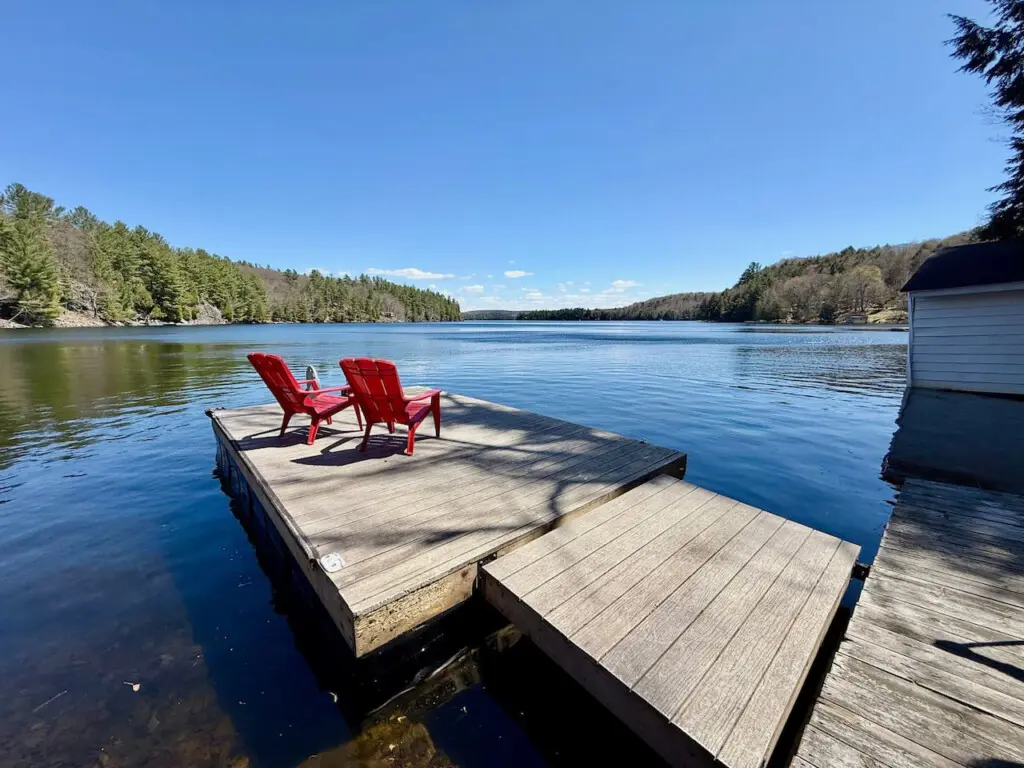 78429 412983 pop1h2IIQ4cDlvS82IfItFqCzls7ke9YiobRTw2RcMY 6875e96aa4415.jpg