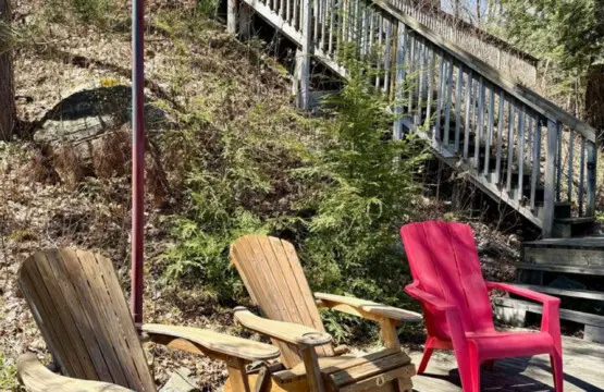 78429 412983 t4kSmNyqJsBnO9pstDY30N6BlfYph4l8aaWTw xz3tA 6875d1690a2d7.jpg